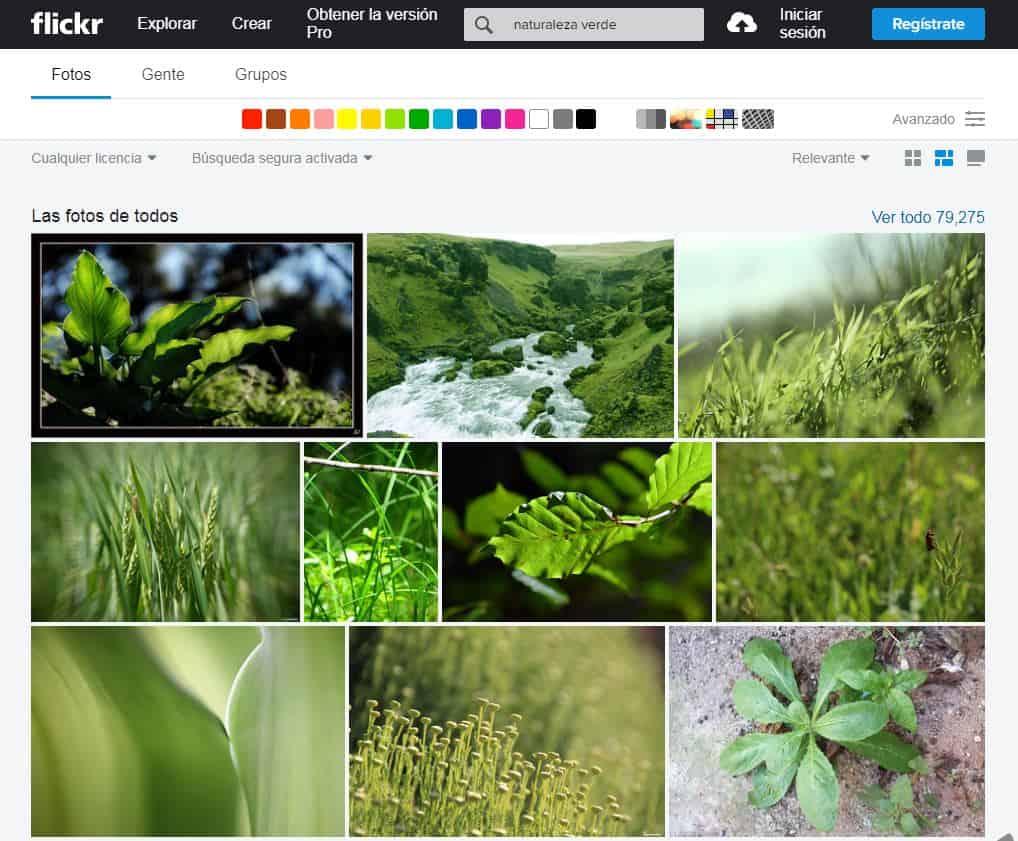 ejemplo-de-sitio-web-de-fotografias